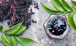 What is Elderberry?