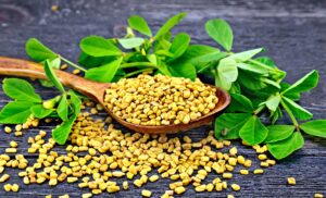 Health Benefits of Fenugreek – Relief from Anemia, Loss of Taste, Fever, Dandruff