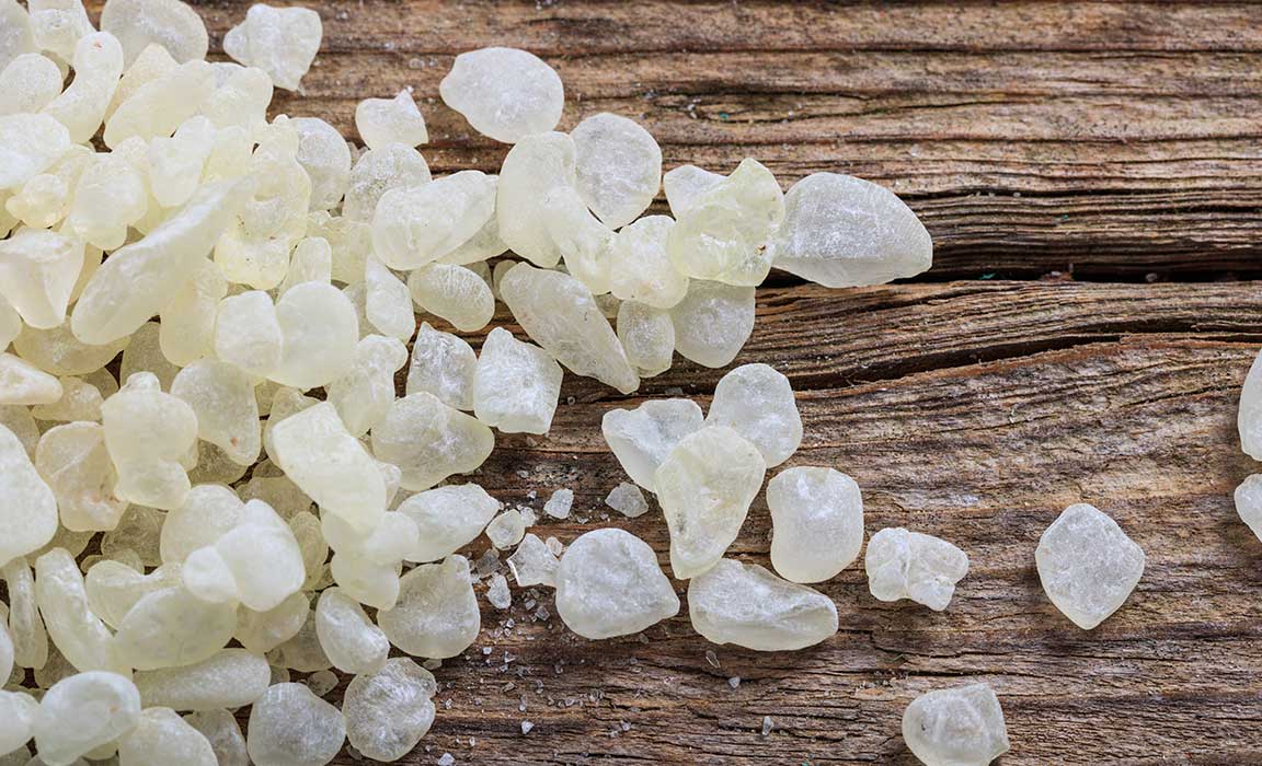Mastic Gum Has a Long History of Use in Ulcers