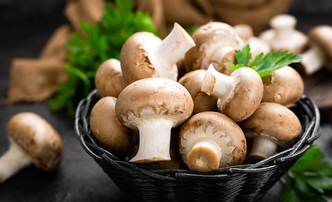 Mushrooms Can Support Your Health