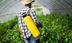 Pesticides are Simply Everywhere and in Everything